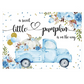 It's a boy! A sweet little pumpkin is on the way photo background. Main color is blue with fall florals, balloons, and pumpkin in old blue truck. New. Our Families Attic