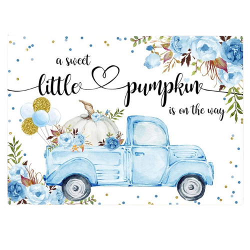 It's a boy! A sweet little pumpkin is on the way photo background. Main color is blue with fall florals, balloons, and pumpkin in old blue truck. New. Our Families Attic