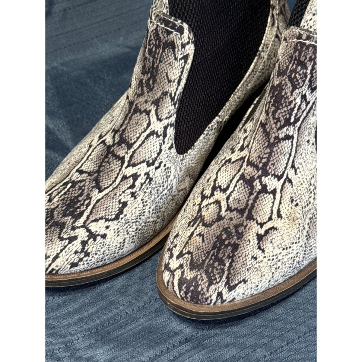 Close-up of the snakeskin-patterned uppers and black elastic side panels on Corkys ankle boots.
