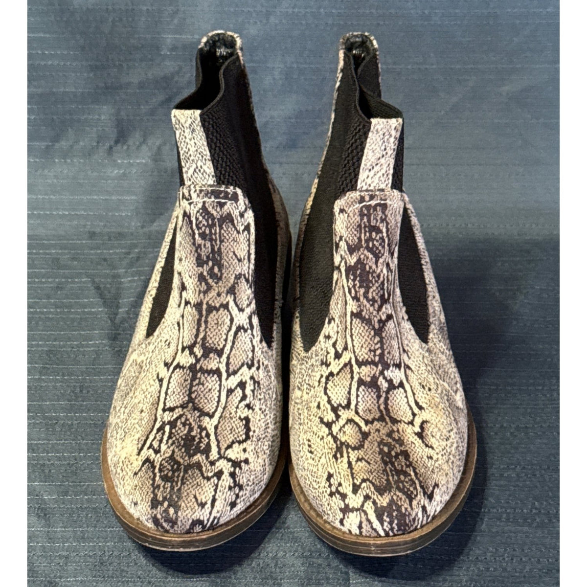 Front view of Corkys snake-print ankle boots showing almond toes and contrasting black elastic panels.